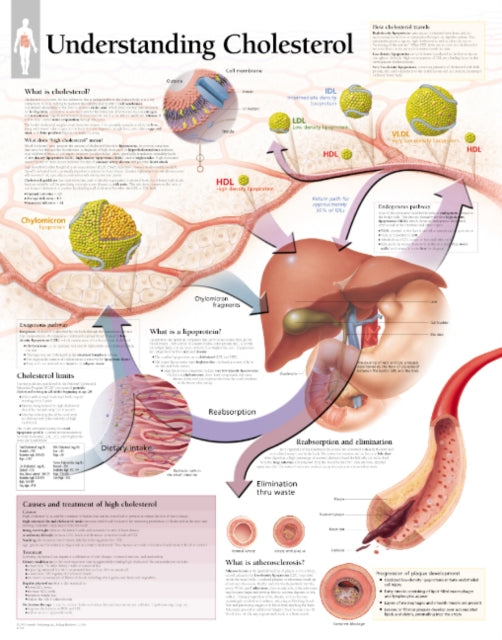 Book cover of: Understanding Cholesterol Paper Poster. By: Scientific Publishing