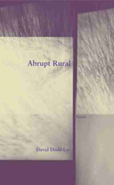 Book cover of: Abrupt Rural. By: David Dodd Lee