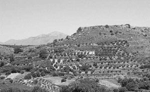 Galatas Survey