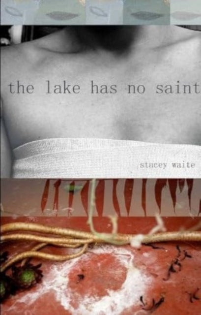 Book cover of: lake has no saint. By: Stacey Waite