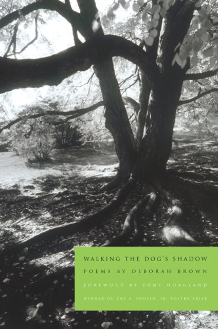 Book cover of: Walking the Dog's Shadow. By: Deborah Brown