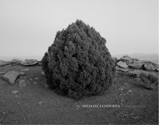 Book cover of: Michael Lundgren: Transfigurations. By: Michael Lundgren