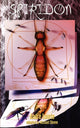 Book cover of: Spiridon
