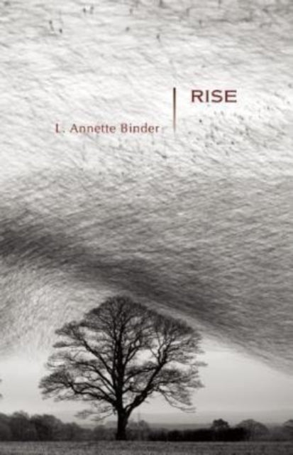 Book cover of: Rise. By: L. Annette Binder
