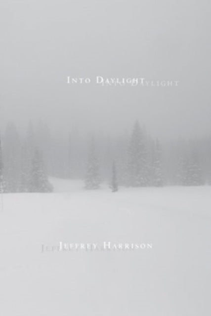 Into Daylight
