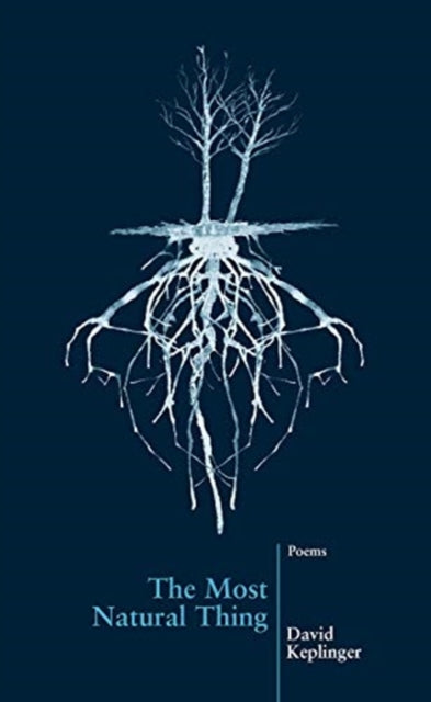 Book cover of: Most Natural Thing. By: David Keplinger