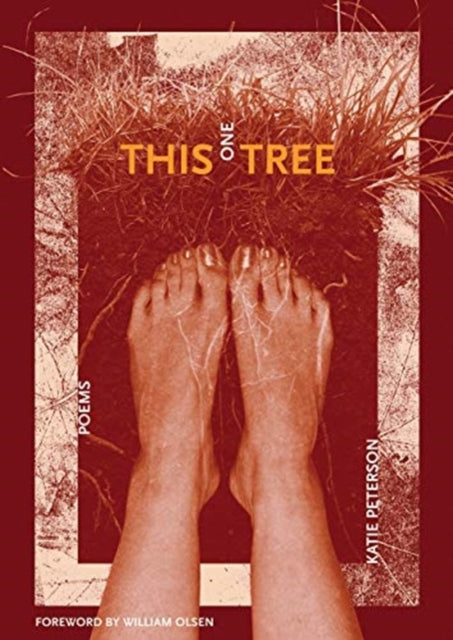 Book cover of: Permission. By: Katie Peterson