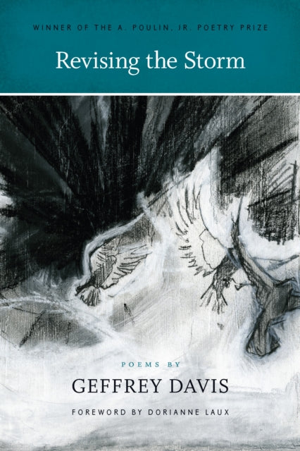 Book cover of: Revising the Storm. By: Geffrey Davis
