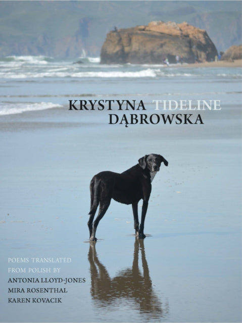 Book cover of: Tideline. By: Krystyna Dąbrowska