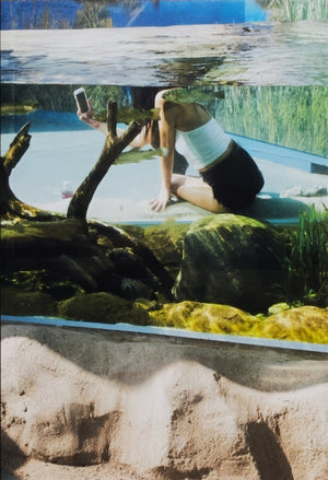 Aquarium