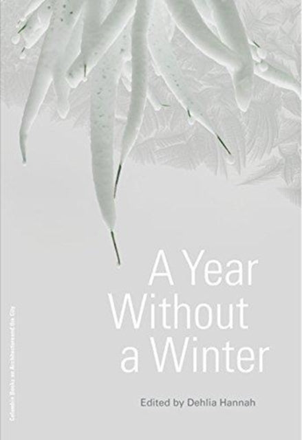 Book cover of: Year Without a Winter