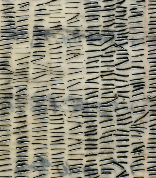Book cover of: Catherine Eaton Skinner: 108. By: Elizabeth Brown