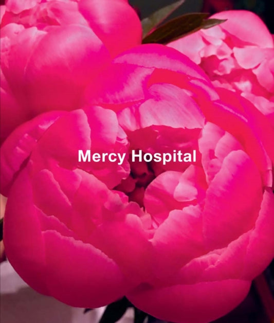 Book cover of: Ida Applebroog: Mercy Hospital. By: Ida Applebroog