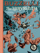 Book cover of: Buzzelli Collected Works Vol. 1. By: Buzzelli Guido
