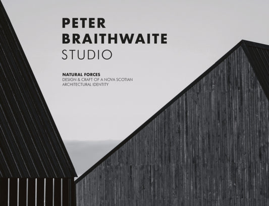 Book cover of: Peter Braithwaite Studio. By: Brian Carter