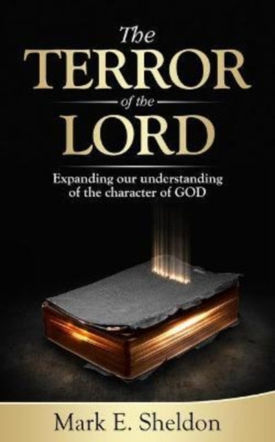 Book cover of: Terror of the Lord. By: Mark E. Sheldon