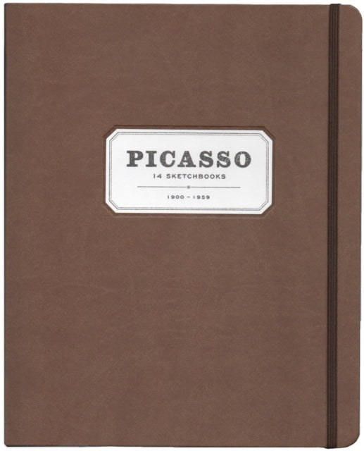 Book cover of: Picasso: 14 Sketchbooks
