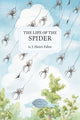 Book cover of: Life of the Spider. By: Jean-Henri Fabre