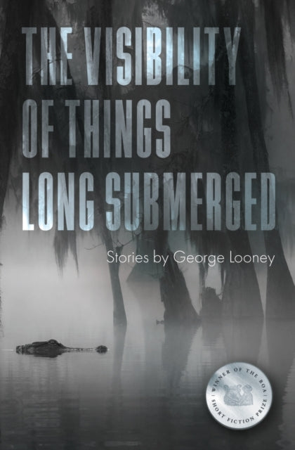 Book cover of: Visibility of Things Long Submerged. By: George Looney
