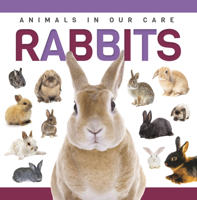 Book cover of: Rabbits