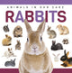 Book cover of: Rabbits