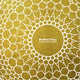 Book cover of: Al Wasl Plaza. By: Adrian Smith + Gordon Gill Architecture