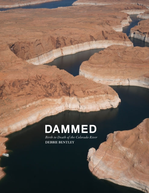 Book cover of: Dammed. By: Debbie Bentley