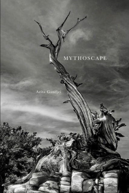 Book cover of: Mythoscape