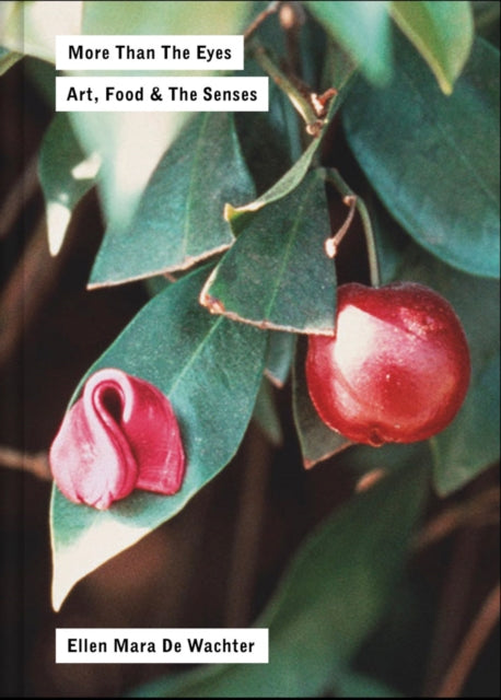 Book cover of: More Than the Eyes. By: Ellen Mara De Wachter