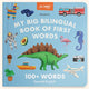 Book cover of: My Big Bilingual Book of First Words. By: Mike Alfaro