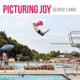 Book cover of: Picturing Joy. By: George Lange