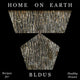 Book cover of: Home on Earth. By: Andrew Linn