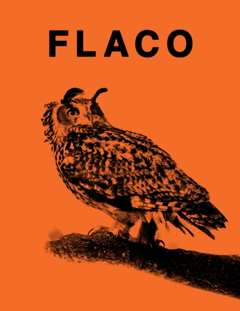Book cover of: FLACO. By: Jonathan Hollingsworth