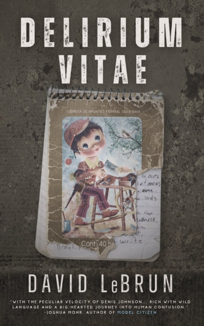 Book cover of: Delirium Vitae