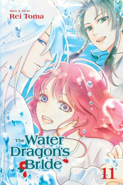 Book cover of: Water Dragon's Bride, Vol. 11. By: Rei Toma