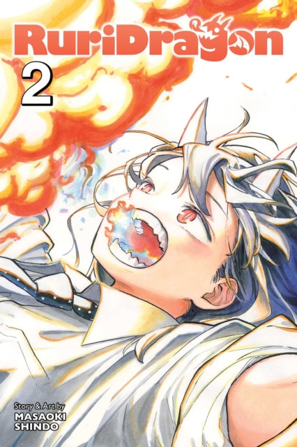 Book cover of: RuriDragon, Vol. 2