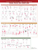 Book cover of: Travell, Simons & Simons’ Trigger Point Pain Patterns Wall Chart