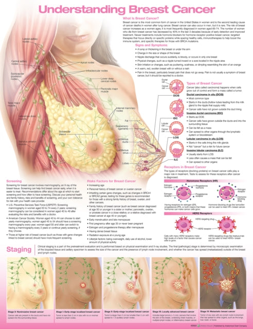 Book cover of: Understanding Breast Cancer Anatomical Chart