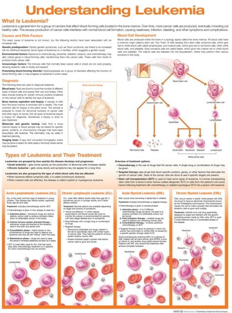 Book cover of: Understanding Leukemia Anatomical Chart