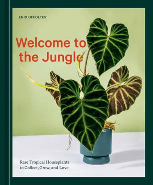 Book cover of: Welcome to the Jungle. By: Enid Offolter