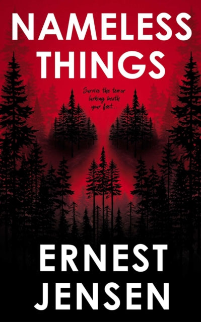 Book cover of: Nameless Things