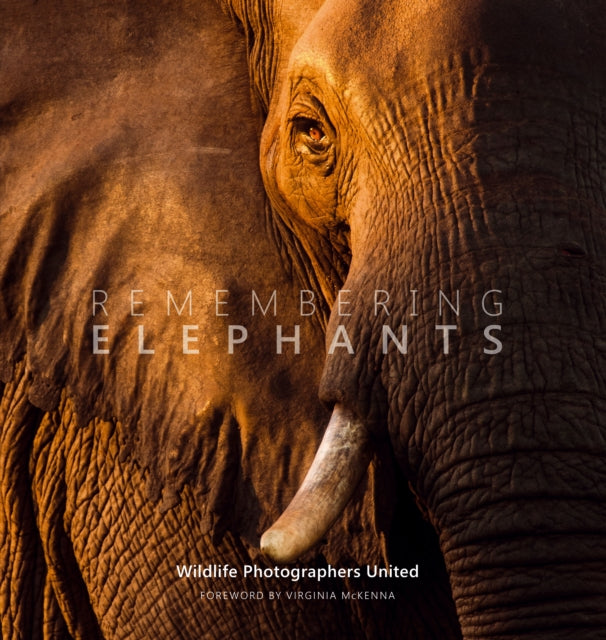 Remembering Elephants 9781999643348 Margot Raggett
