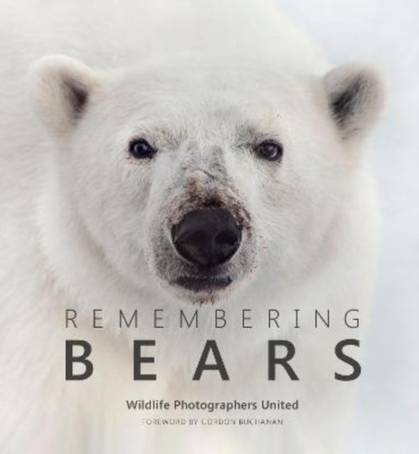 Book cover of: Remembering Bears. By: Margot Raggett