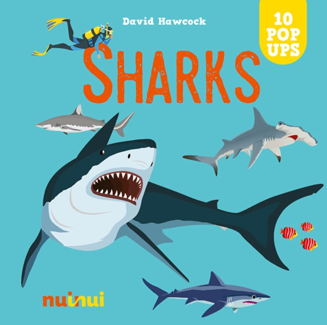 Book cover of: Sharks. By: HAWCOCK, DAVID