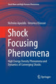 Book cover of: Shock Focusing Phenomena. By: Nicholas Apazidis