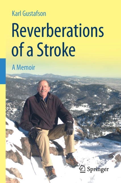 Book cover of: Reverberations of a Stroke. By: Karl Gustafson