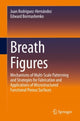Book cover of: Breath Figures. By: Juan Rodríguez-Hernández