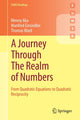 Book cover of: Journey Through The Realm of Numbers. By: Menny Aka