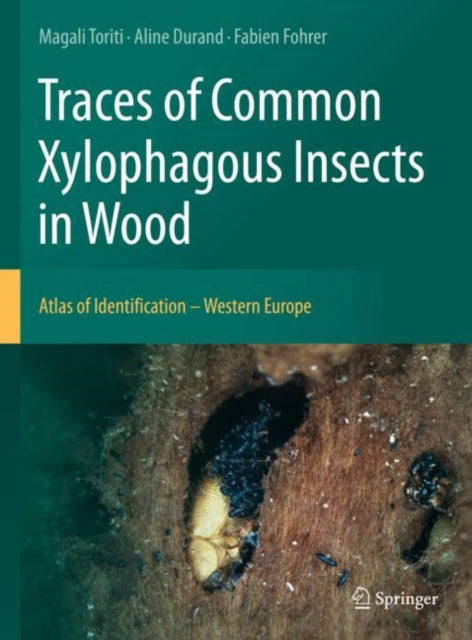Book cover of: Traces of Common Xylophagous Insects in Wood. By: Magali Toriti