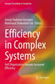Book cover of: Efficiency in Complex Systems. By: Georgi Yordanov Georgiev
